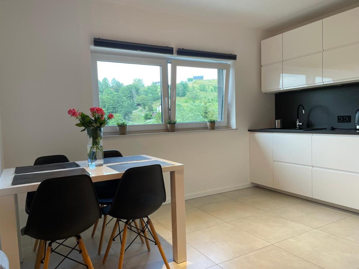 Apartament z klimatem II Wisla Bagian luar foto