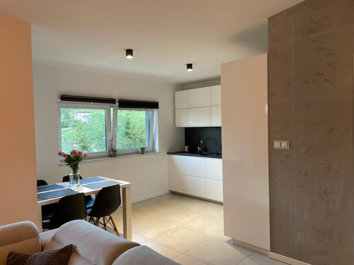 Apartament z klimatem II Wisla Bagian luar foto